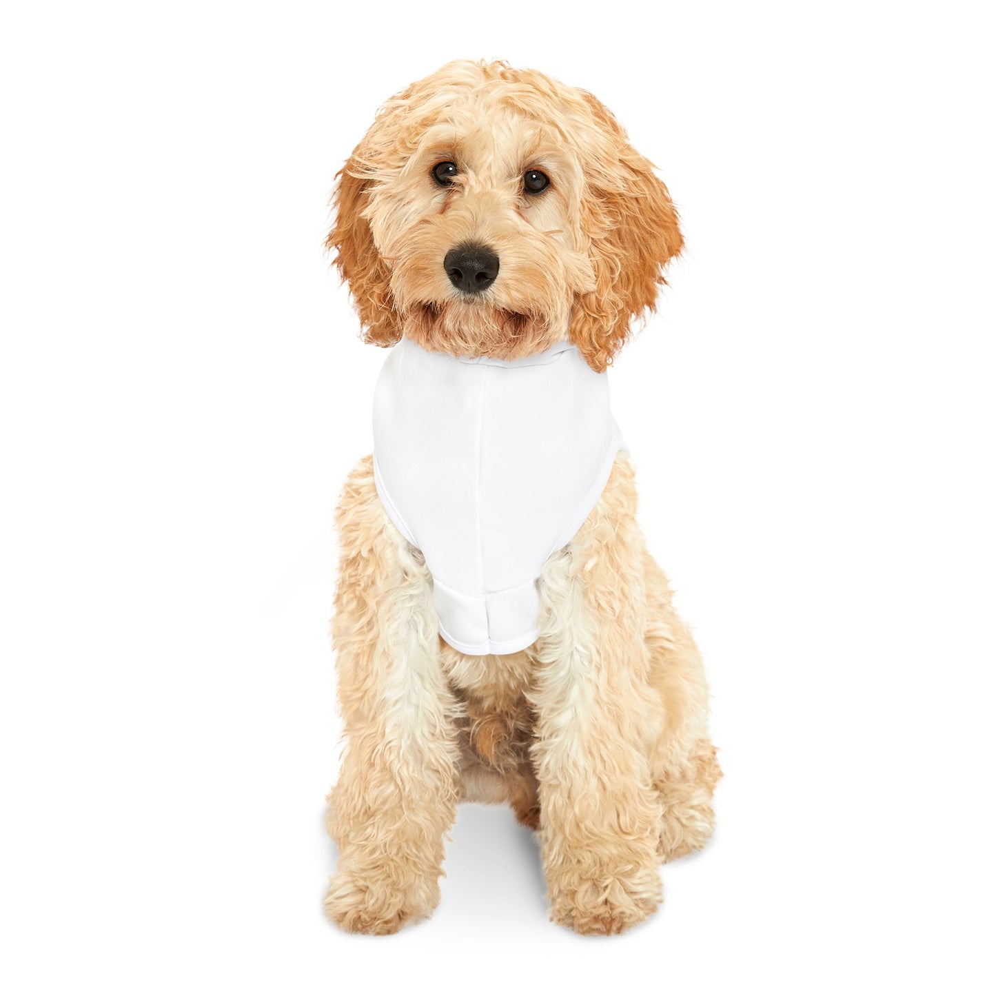 Pet Hoodie — "Feed Me, Then Pet Me" Cute Dog & Cat Hoodie