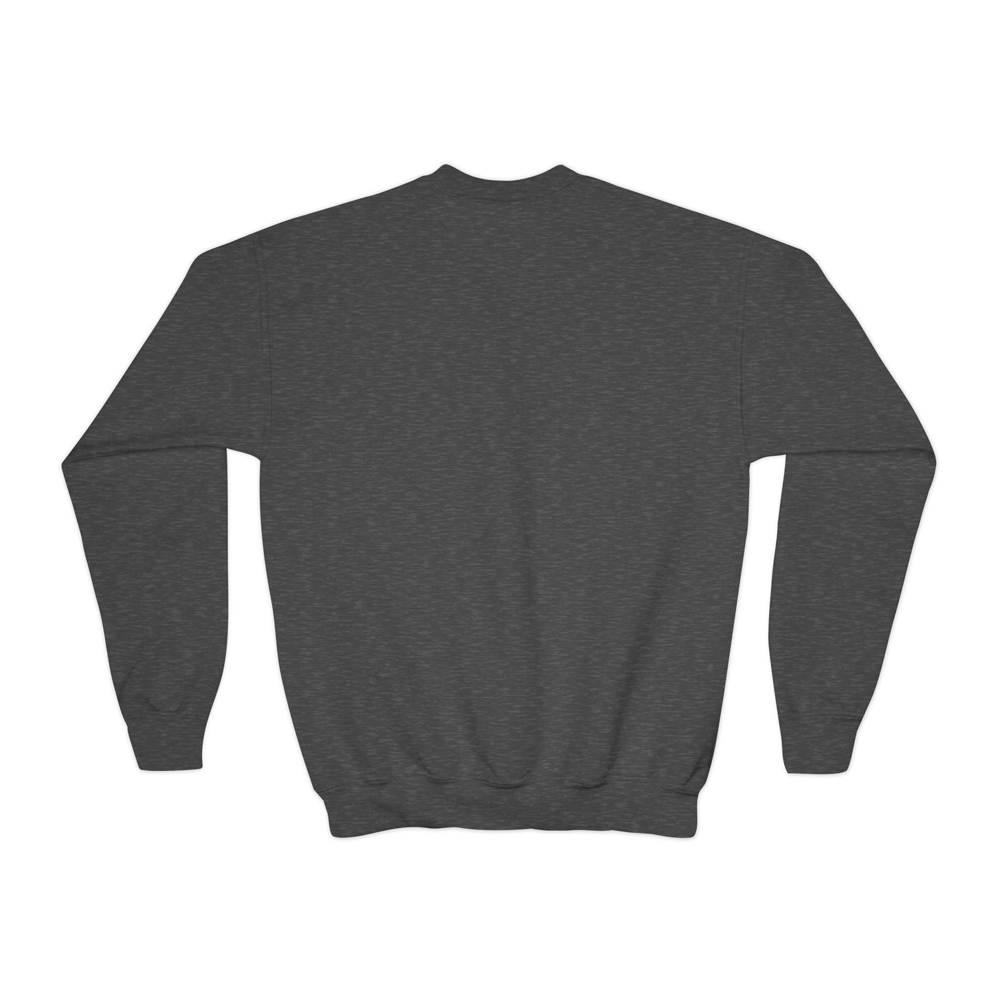 Barbie Sweatshirt — Graphic