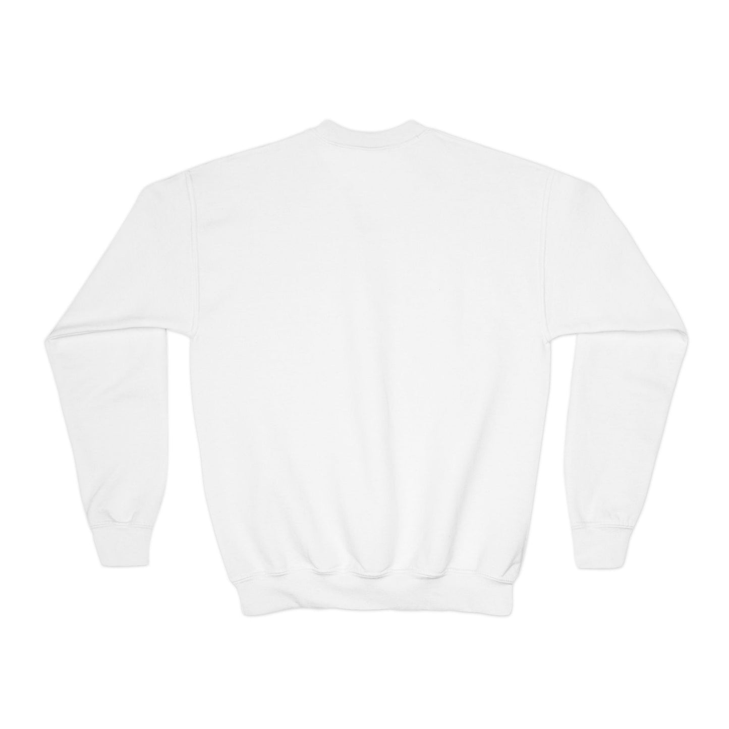 Barbie Sweatshirt — Graphic