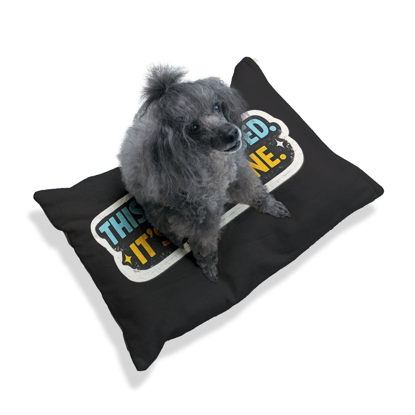 Pet Bed — "This Is Not a Bed. It's a Throne." Plush Dog & Cat Lounger